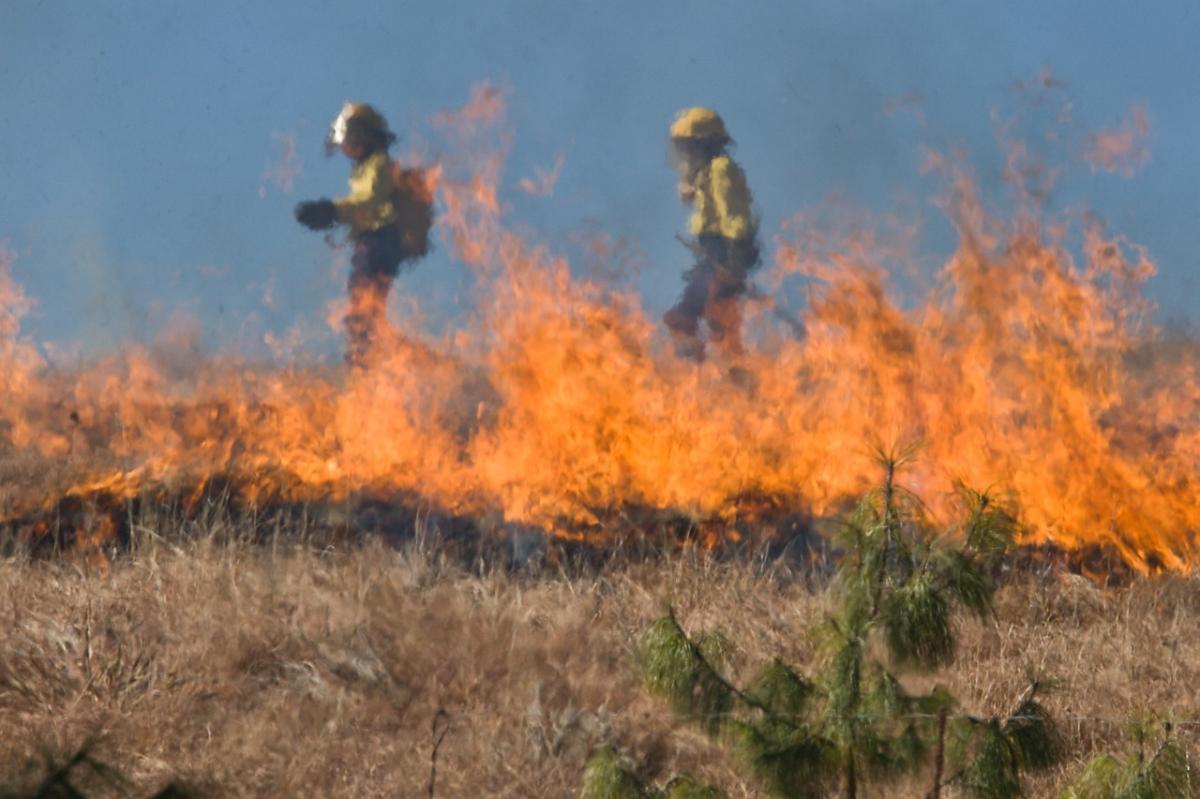 Incendios forestales. ¿Cómo prevenirlos?