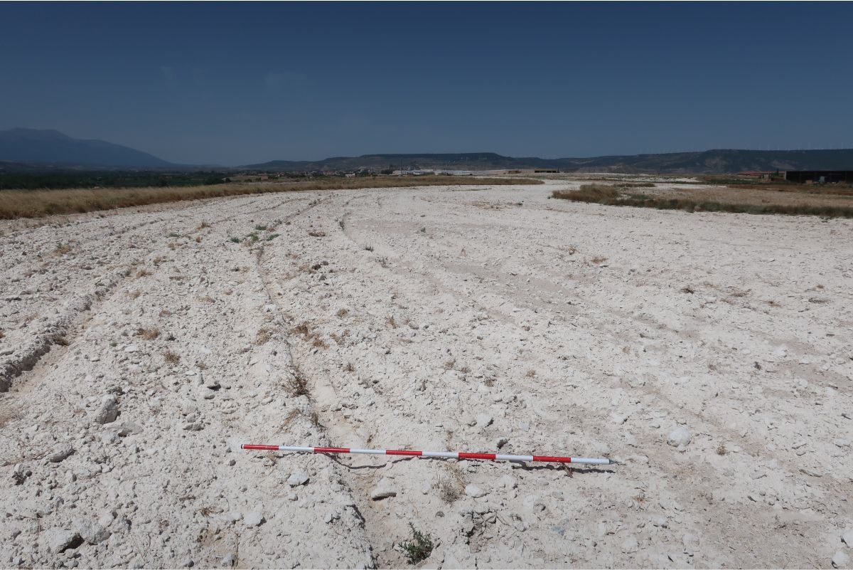 Prospección arqueológica en ámbito de afección de plantas fotovoltaicas en Albeta (Zaragoza).