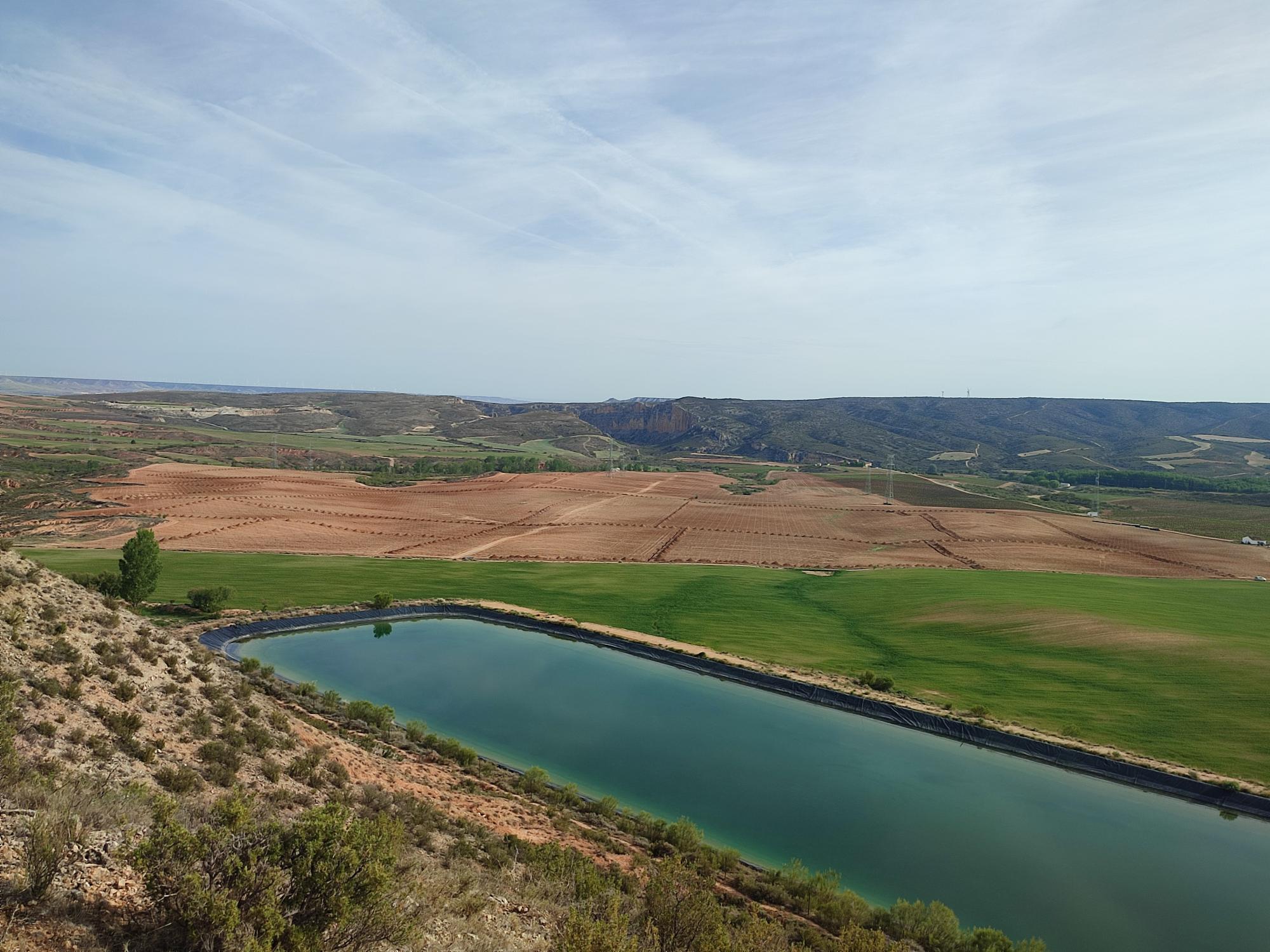 Seguimiento ambiental de la ampliación de la superficie regable de finca en Aylés (Zaragoza).