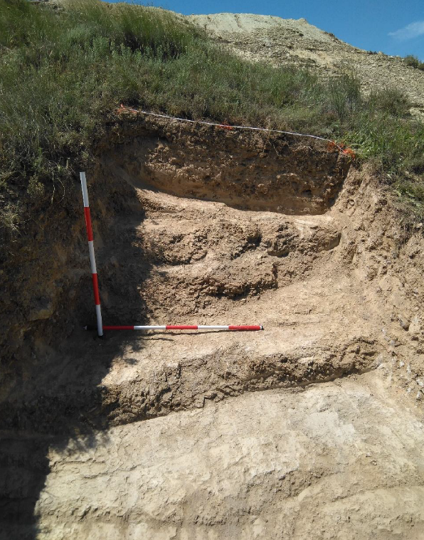 Subvención para inversiones en transformación, comercialización y desarrollo de productos agrícolas (industrias agroalimentarias). Hasta el 12 de enero de 2022.